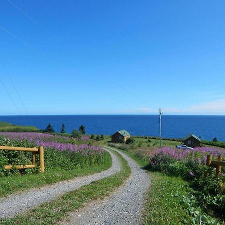 Les Chalets Brise-De-Mer Sainte-Therese-de-Gaspe Ngoại thất bức ảnh