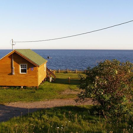 Les Chalets Brise-De-Mer Sainte-Therese-de-Gaspe Ngoại thất bức ảnh